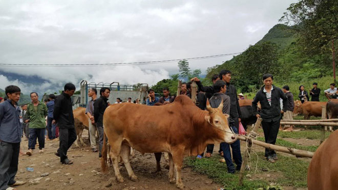 Mộc mạc chợ phiên Du Già - 18