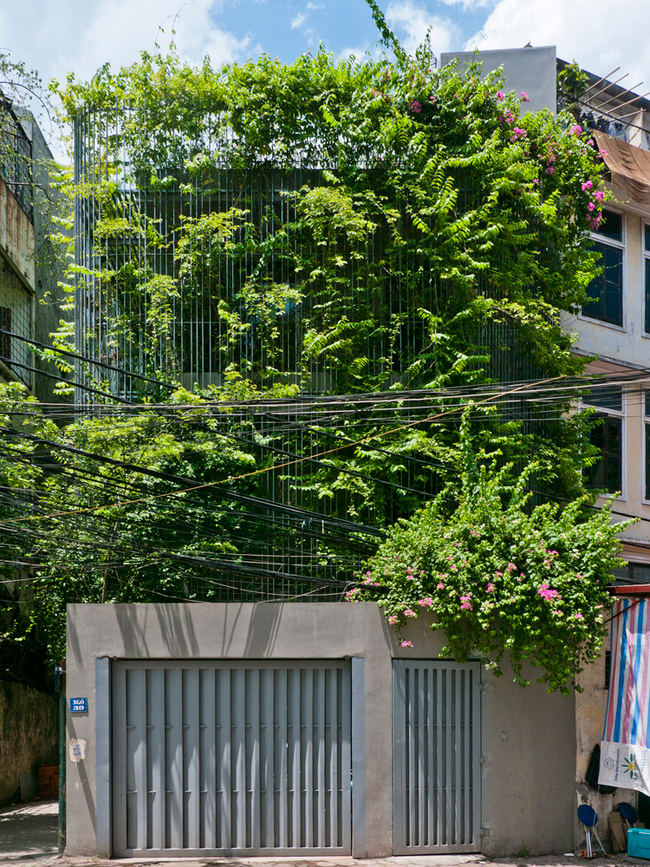 Tốc độ đô thị hóa chóng mặt của các thành phố lớn, đặc biệt là ở Hà Nội khiến không gian xanh càng ngày càng bị thu hẹp, cuộc sống của con người trở nên bí bách hơn.