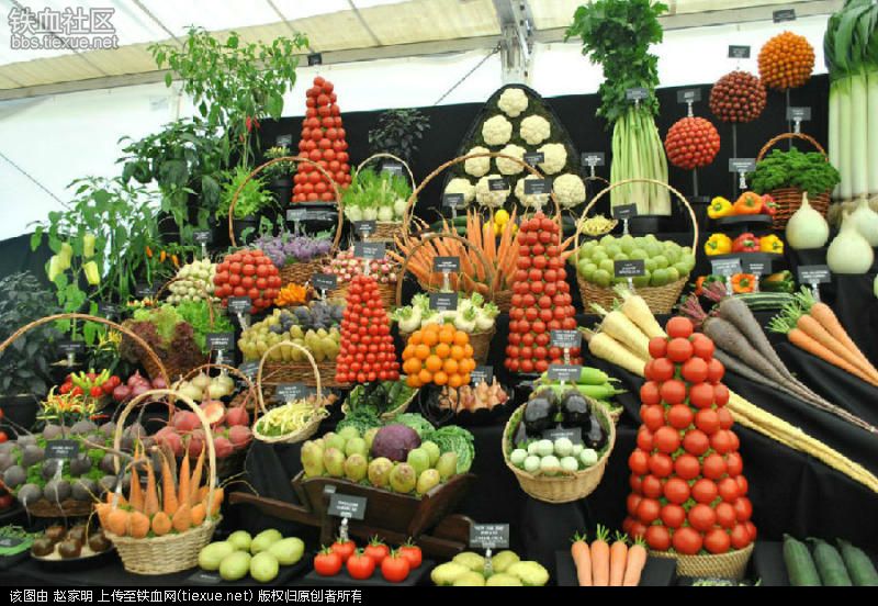 Ai cũng muốn đi tới chợ rau củ này vì nó đẹp như tranh nghệ thuật - 3