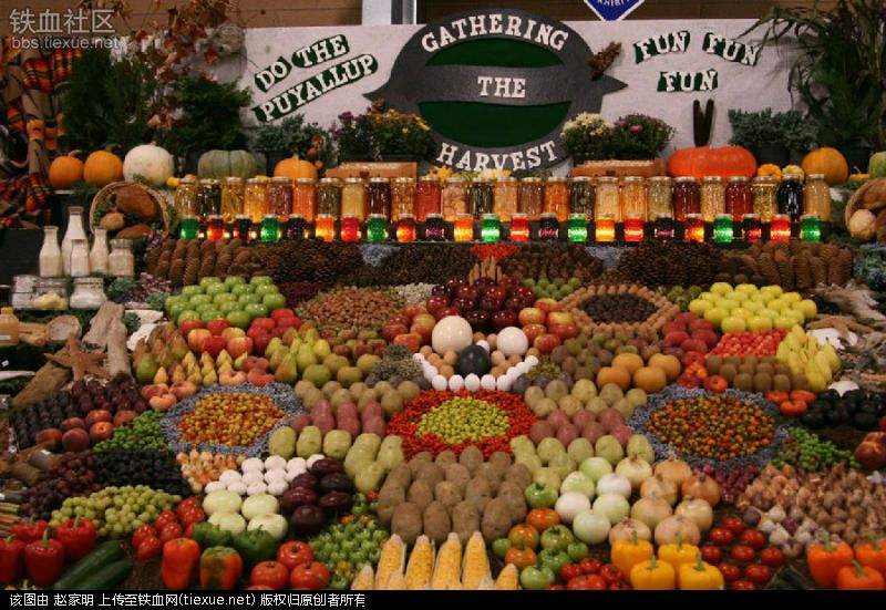 Ai cũng muốn đi tới chợ rau củ này vì nó đẹp như tranh nghệ thuật - 7