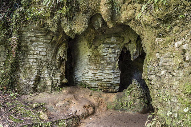 Điều kỳ diệu trong hang động 2 triệu năm ở New Zealand - 1