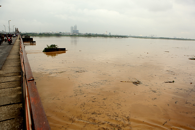 Nước sông dâng cao, bãi giữa sông Hồng như miền Tây mùa nước lũ - 1