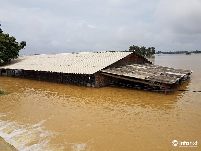 Hà Nội: Vỡ đê sông Bùi 2, hàng trăm nhà dân chìm trong biển nước - 1
