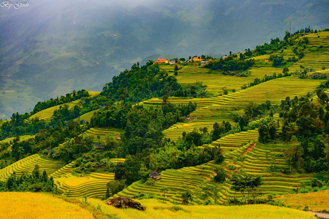 Mùa thu Hoàng Su Phì dưới lăng kính của phượt thủ Hải Phòng - 3