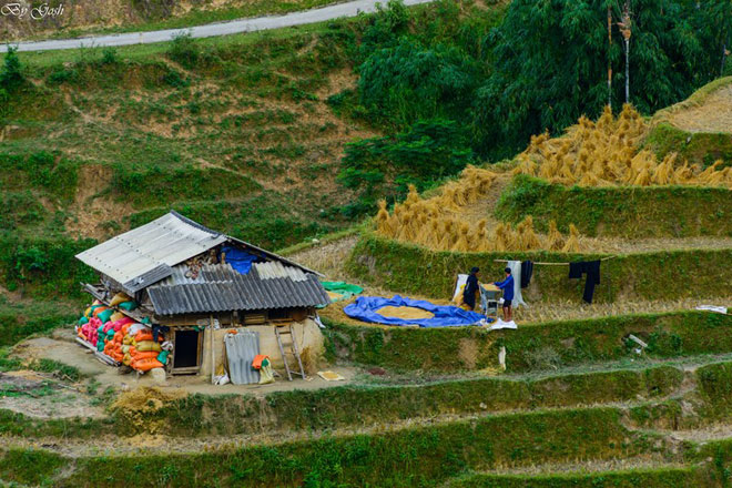 Mùa thu Hoàng Su Phì dưới lăng kính của phượt thủ Hải Phòng - 5