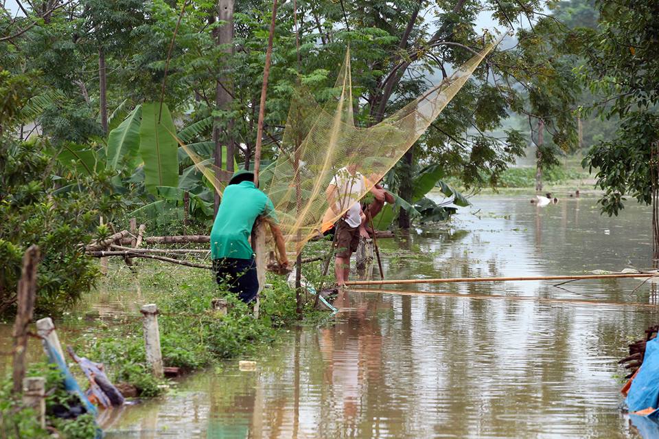 Chương Mỹ - Hà Nội: Làng mạc biến thành sông, dân vật lộn trong biển nước - 13