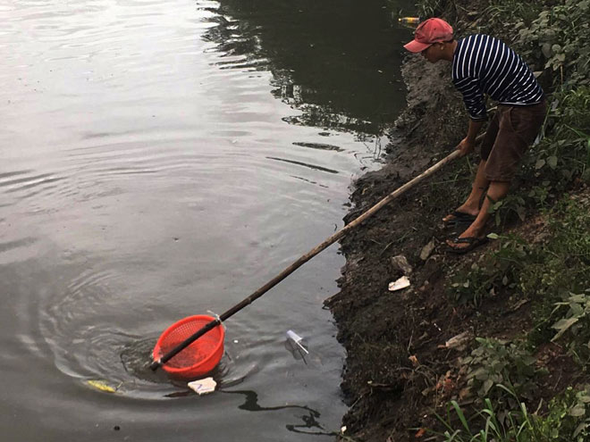 Người lớn, trẻ nhỏ đua nhau vợt cá trên kênh &#34;chết&#34; ở Sài Gòn - 3