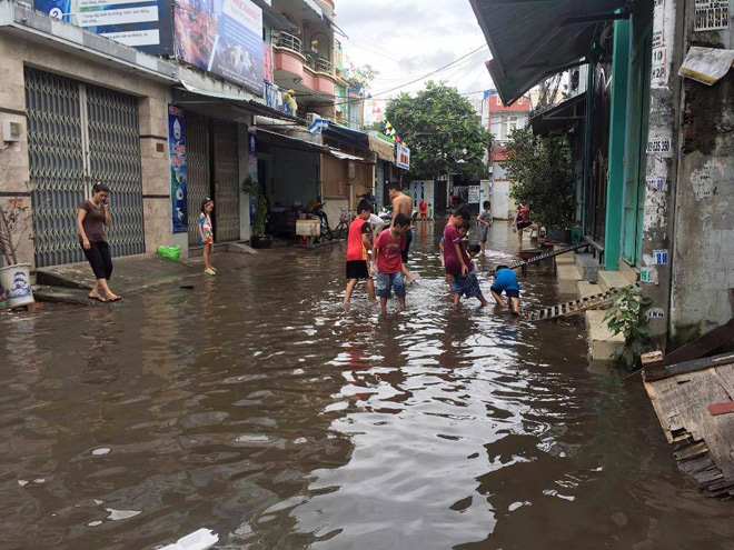 Người lớn, trẻ nhỏ đua nhau vợt cá trên kênh &#34;chết&#34; ở Sài Gòn - 14