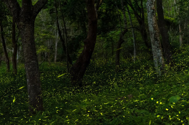 Những điểm du lịch nổi tiếng ẩn chứa bí mật chưa có lời giải - 8