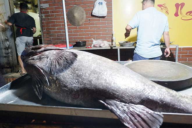 Nóng 24h qua: Nguyên ĐBQH Châu Thị Thu Nga nhận án chung thân, bồi thường 54 tỷ đồng - 2