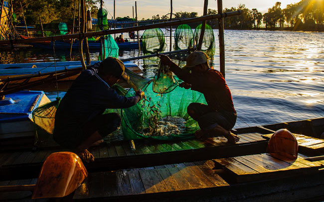 Những hình ảnh tuyệt đẹp về mưu sinh mùa nước nổi ở miền Tây - 9