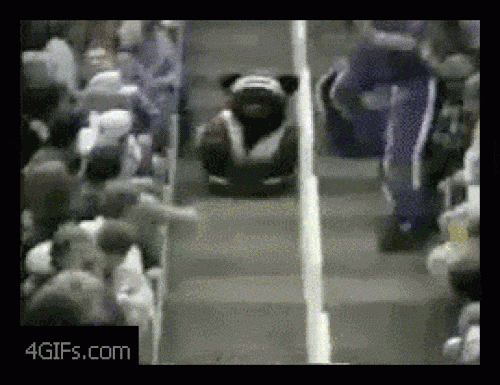 Khi những chú linh vật thể thao bị "rơi não" - 5