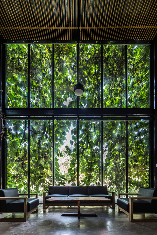 Để tiết kiệm chi phí làm mát, kiến trúc sư chọn giải pháp trồng cây xanh bao quanh nhà.