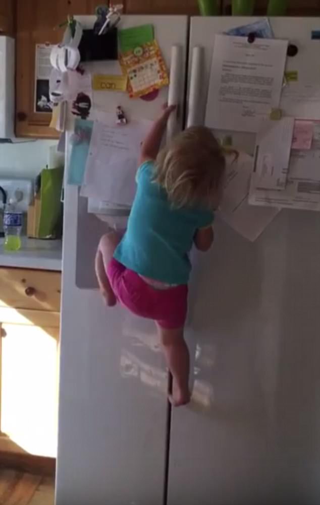 Bé gái 2 tuổi thoăn thoắt trèo lên nóc tủ lạnh cao 2 mét - 1