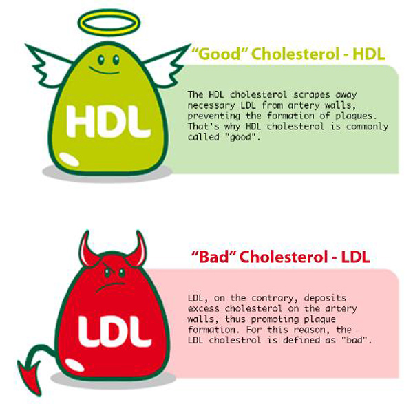 Cholesterol - chuyện chưa kể… - 1