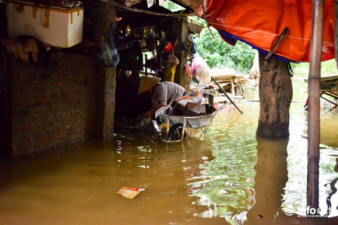 Người dân Chương Mỹ dọn dẹp "chiến trường" sau ngập lụt - 10