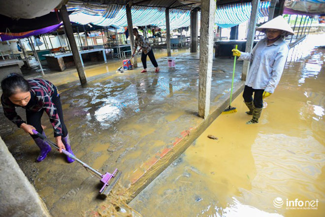 Người dân Chương Mỹ dọn dẹp "chiến trường" sau ngập lụt - 5