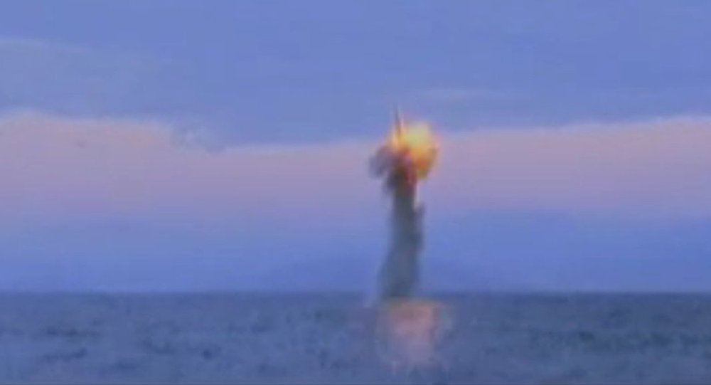 Tình báo Mỹ: Triều Tiên đóng tàu ngầm tên lửa đạn đạo cỡ lớn - 1