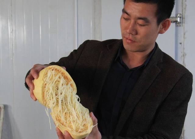 Lạ lùng giống bí "đẻ ra" mỳ sợi tuyệt ngon - 2