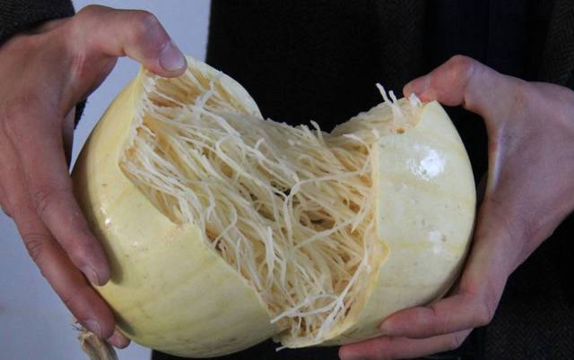 Lạ lùng giống bí "đẻ ra" mỳ sợi tuyệt ngon - 3