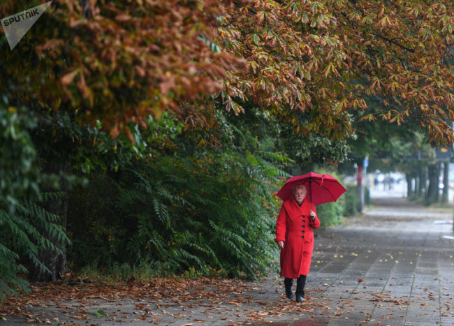 Người phụ nữ cầm ô đi trên thảm lá mùa thu rụng xuống đường ở thành phố Berlin, Đức.