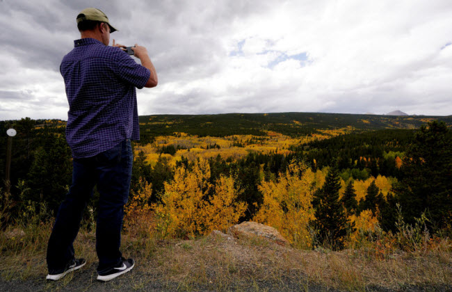 Người đàn ông chụp ảnh cây tùng dương với lá chuyển màu vàng ở thành phố Nederland, bang Colorado, Mỹ.