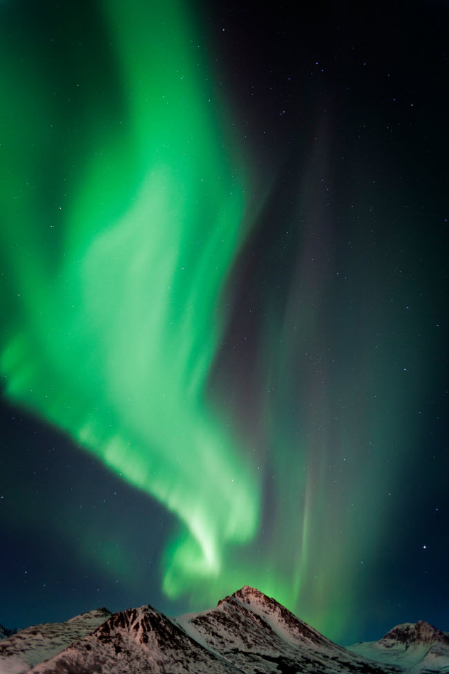 Alaska cũng là địa điểm lý tưởng để chiêm ngưỡng ánh sáng bắc cực quang. Fairbanks là điểm phổ biển của những người thích ngắm hiện tượng thiên nhiên này.