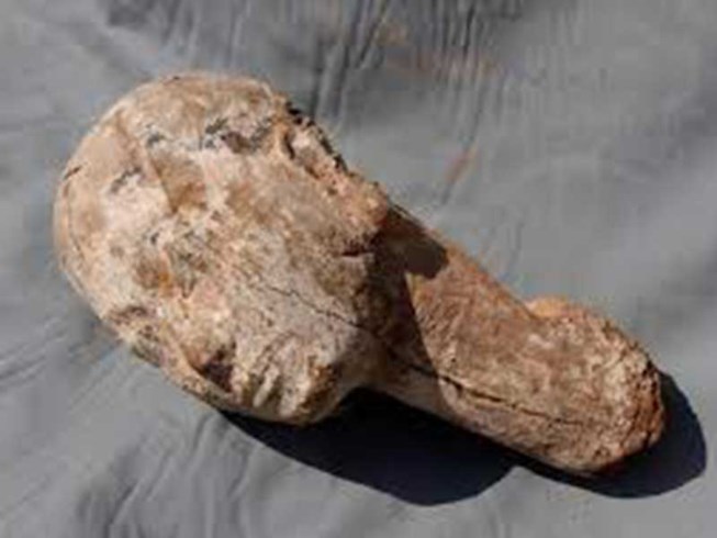Tìm thấy tượng gỗ đầu người niên đại 4.000 năm - 1