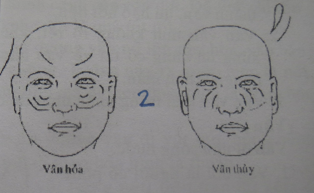 Đoán vận mệnh qua những đường vân tốt, xấu trên mặt - 2