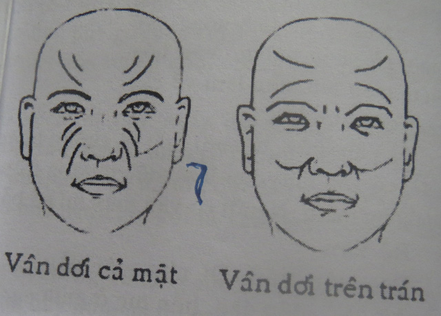 Đoán vận mệnh qua những đường vân tốt, xấu trên mặt - 5