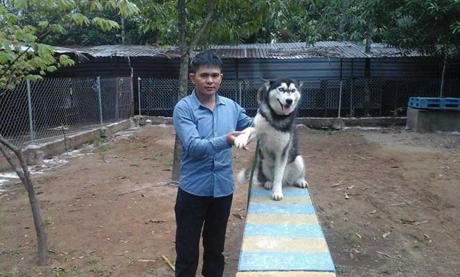 Hốt bạc nghề dạy thú cưng - 3