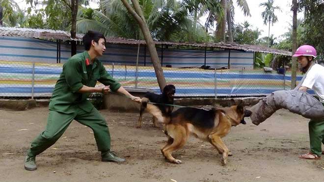 Hốt bạc nghề dạy thú cưng - 4