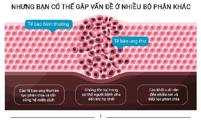 Lý giải tại sao chưa có cách chữa được ung thư - 2