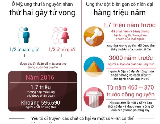 Lý giải tại sao chưa có cách chữa được ung thư - 3