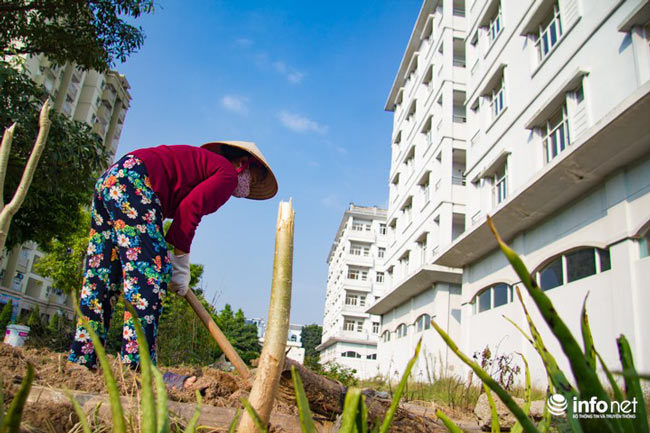 Hà Nội: Hanco 3 đề xuất phá bỏ 3 toà nhà tái định cư xây mới, bỏ không nhiều năm - 12