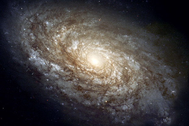 Thiên tài vật lý công bố tài liệu lịch sử về vũ trụ, gây sập web - 1