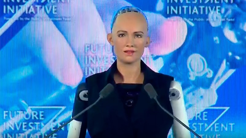 Robot đầu tiên trên thế giới được cấp quyền công dân - 1