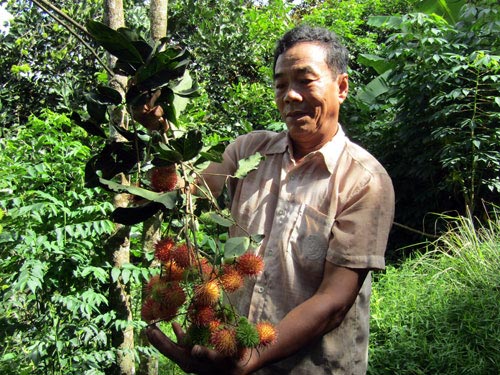 Làm giàu từ mô hình “gọi ngược” kiểu &#34;THÍCH ĐỦ THỨ&#34; - 1