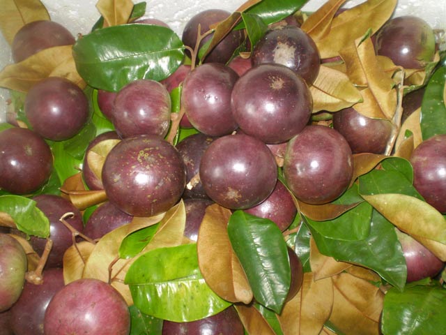 Làm giàu từ mô hình “gọi ngược” kiểu "THÍCH ĐỦ THỨ" - 3