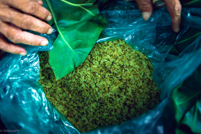 Có một Hà Nội mùa thu tình tới độ khiến bạn ngẩn ngơ quên lối về - 5