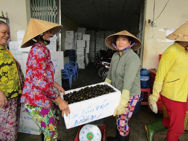 Làm giàu ở nông thôn: Đưa ốc bươu đi tàu bay, kiếm cả triệu/ngày