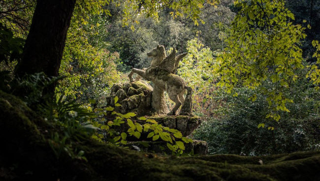 Bí mật những bức tượng khổng lồ, kỳ quái ẩn náu trong Rừng Thiêng - 3