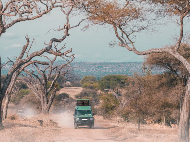 Vườn quốc gia Serengeti, Tanzania: Mùa đông ở Tanzania tương đối ít mưa, nên đây là thời điểm lý tưởng để khám phá động vật hoang dã trong vườn quốc gia Serengeti. Du khách có cơ hội chứng kiến cảnh hàng triệu con linh dương đầu bò bắt đầu hành trình di cư trên thảo nguyên châu Phi.