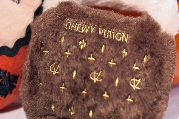 Tiêu tiền kiểu nhà giàu: Chi 150 triệu mua áo da cho...chó - 1