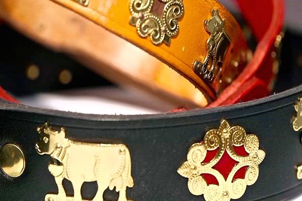 Tiêu tiền kiểu nhà giàu: Chi 150 triệu mua áo da cho...chó - 4