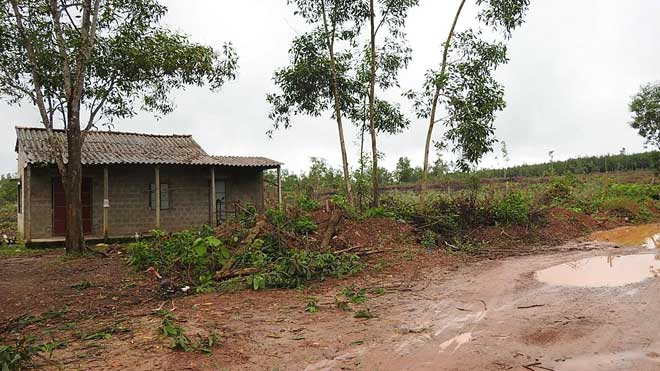 Chuyện hi hữu ở Quảng Trị: Kỳ lạ thôn chỉ một… hộ dân - 2