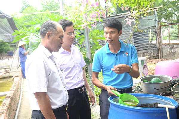 Thu nửa tỷ mỗi năm nhờ &#34;học lỏm&#34; cách nuôi tôm - 3