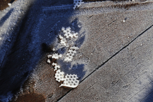 "Đốn tim" vẻ đẹp lung linh của băng giá trên đỉnh Fansipan - 18