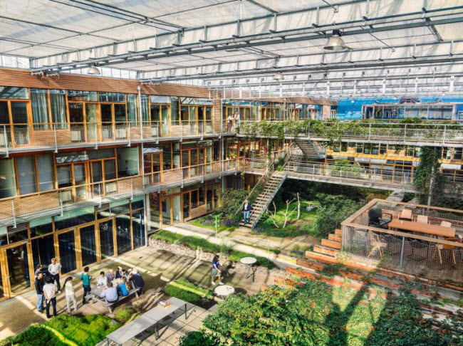 Chiêm ngưỡng các trang trại trong nhà kính "đẹp như tranh" ở Hà Lan - 3