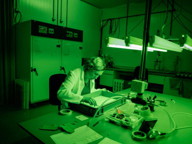 Chiêm ngưỡng các trang trại trong nhà kính "đẹp như tranh" ở Hà Lan - 6